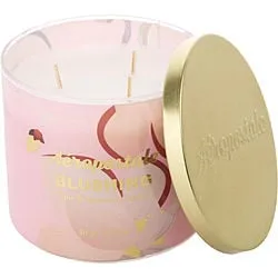 AEROPOSTALE BLUSHING by Aeropostale , SCENTED CANDLE 14.5 OZ