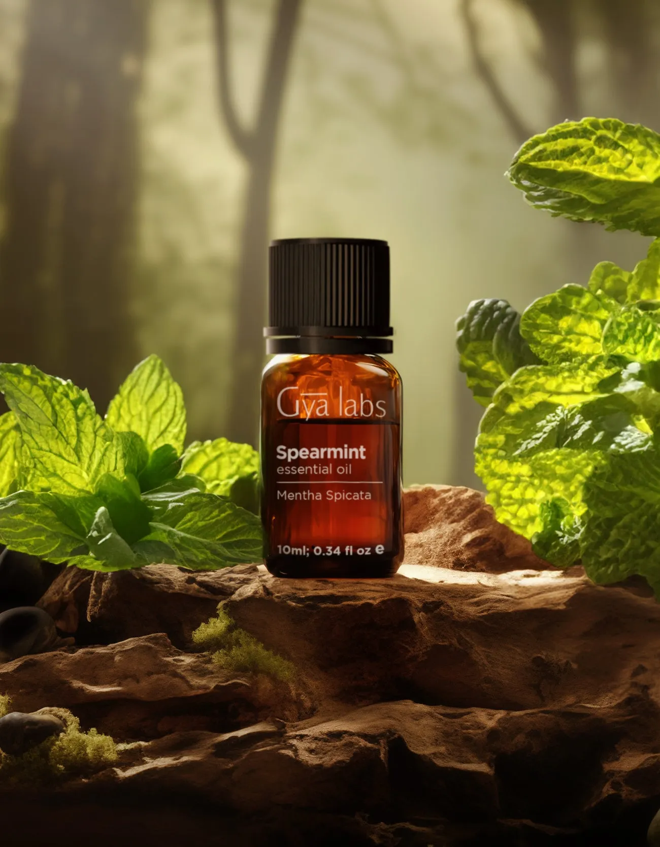 Spearmint Oil